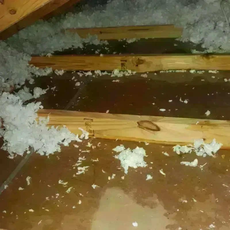 Attic Water Damage in Nortonville, KY